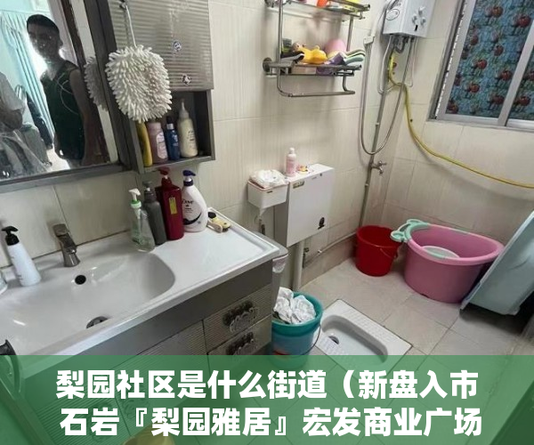 梨园社区是什么街道（新盘入市 石岩『梨园雅居』宏发商业广场近在眼前 ）小产权网签后多久能拿到房产证，