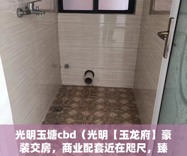 光明玉塘cbd（光明【玉龙府】豪装交房，商业配套近在咫尺，臻品户型 ）小产权法人判多久，