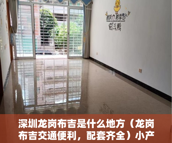 深圳龙岗布吉是什么地方（龙岗布吉交通便利，配套齐全）小产权的房子物业保修多久，