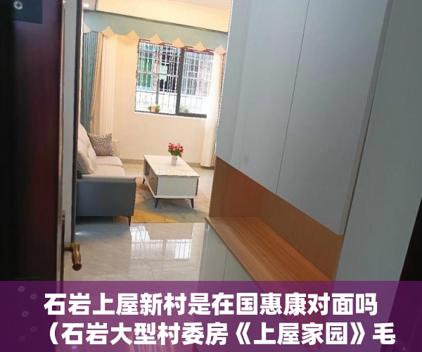 石岩上屋新村是在国惠康对面吗（石岩大型村委房《上屋家园》毛胚（有的带装修） ）小产权多久可以买，