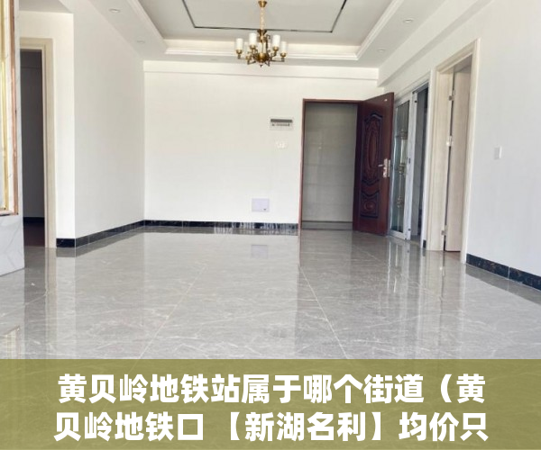 黄贝岭地铁站属于哪个街道（黄贝岭地铁口 【新湖名利】均价只要12000元平了 ）小产权多久认定为历史遗留，