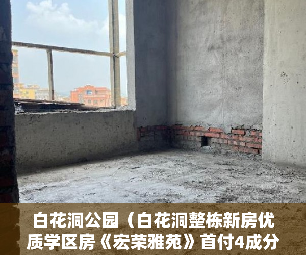 白花洞公园（白花洞整栋新房优质学区房《宏荣雅苑》首付4成分期5年 ）深圳小产权房多久产权，