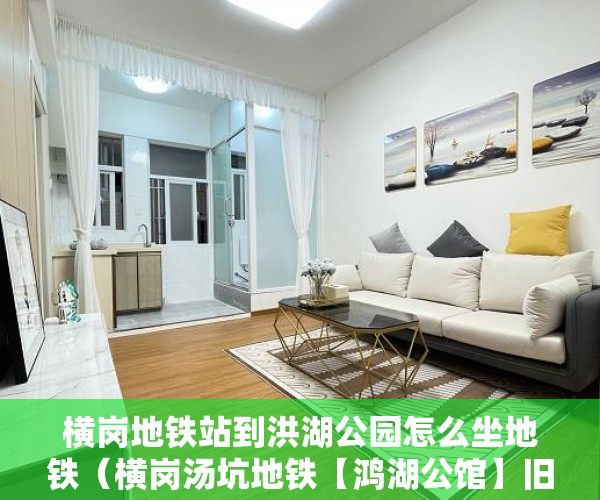 横岗地铁站到洪湖公园怎么坐地铁（横岗汤坑地铁【鸿湖公馆】旧改项目火爆来袭 ）房子是大产权和小产权怎么查，