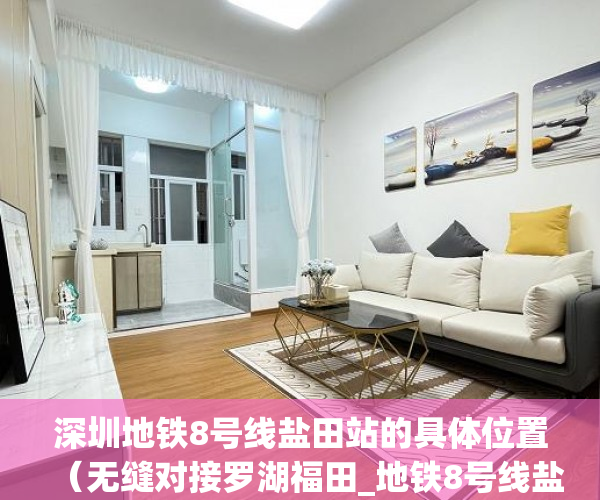 深圳地铁8号线盐田站的具体位置（无缝对接罗湖福田_地铁8号线盐田港站,毗邻壹海城 ）买了小产权房怎么申请公租房，