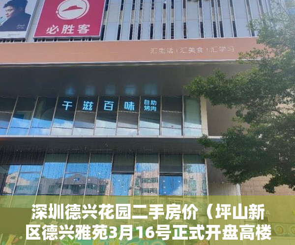 深圳德兴花园二手房价（坪山新区德兴雅苑3月16号正式开盘高楼层出售 ）宅基地上建小产权房怎么办，