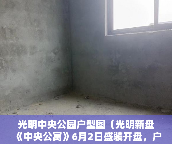 光明中央公园户型图（光明新盘《中央公寓》6月2日盛装开盘，户户精装修 ）小产权房有说产权多久吗，
