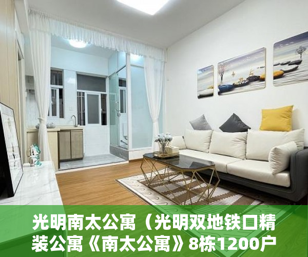 光明南太公寓（光明双地铁口精装公寓《南太公寓》8栋1200户！集体红本 ）深圳小产权能住多久，