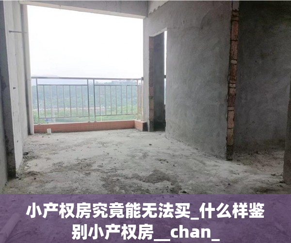 小产权房究竟能无法买_什么样鉴别小产权房__chan_