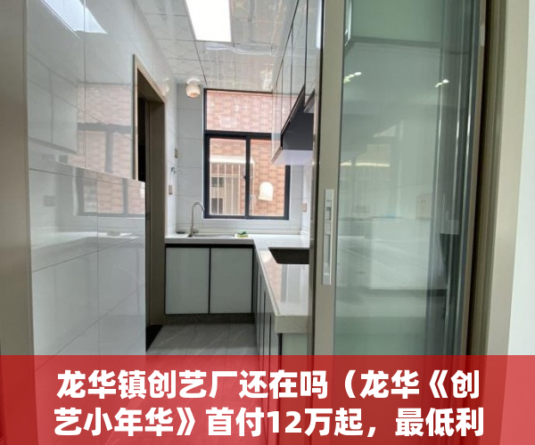 龙华镇创艺厂还在吗（龙华《创艺小年华》首付12万起，最低利息29厘起 ）海口小产权房怎么上学，