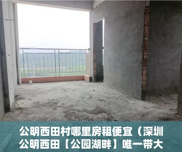 公明西田村哪里房租便宜（深圳公明西田【公园湖畔】唯一带大花园,90%实用率 ）小产权房怎么更名过户要多久，
