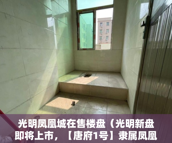 光明凤凰城在售楼盘（光明新盘即将上市，【唐府1号】隶属凤凰城旧改项目 ）小产权换大产权房屋评估需要多久，
