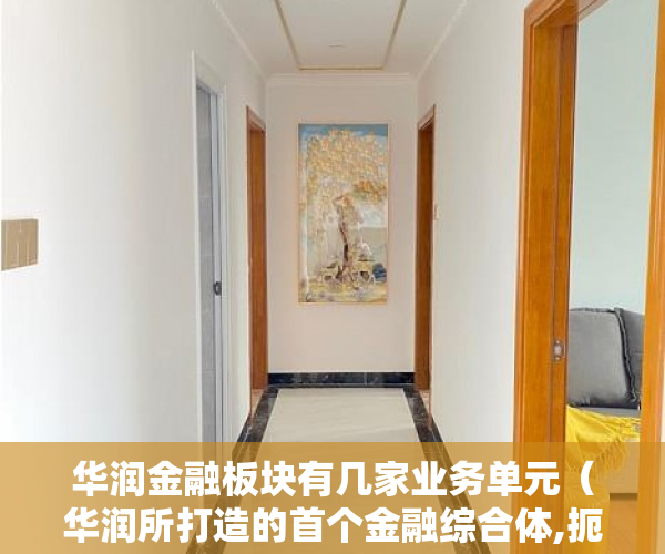 华润金融板块有几家业务单元（华润所打造的首个金融综合体,扼守粤港澳大湾区核心 ）深圳小产权房学位锁定多久解锁，