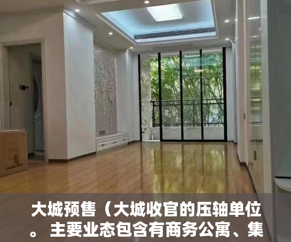 大城预售（大城收官的压轴单位。 主要业态包含有商务公寓、集中式 ）乡镇上有小产权房怎么办，