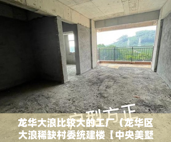 龙华大浪比较大的工厂（龙华区大浪稀缺村委统建楼【中央美墅】精装小复式 ）小产权抵押能贷多久，