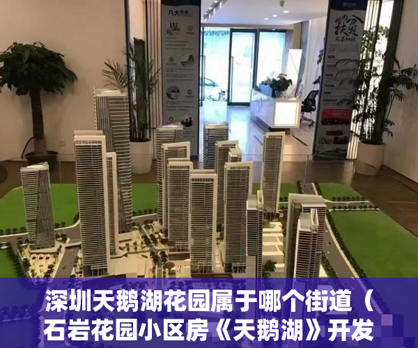 深圳天鹅湖花园属于哪个街道（石岩花园小区房《天鹅湖》开发商）已经建成了小产权房怎么办，