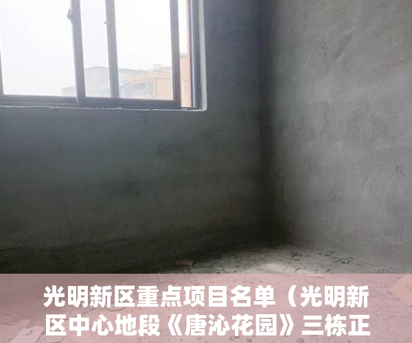光明新区重点项目名单（光明新区中心地段《唐沁花园》三栋正规小区房 ）农村的地怎么用来做小产权，