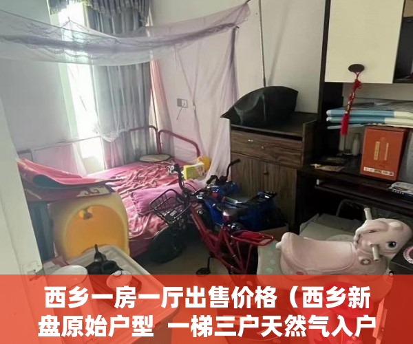 西乡一房一厅出售价格（西乡新盘原始户型  一梯三户天然气入户 奢华住 ）小产权法院多久，