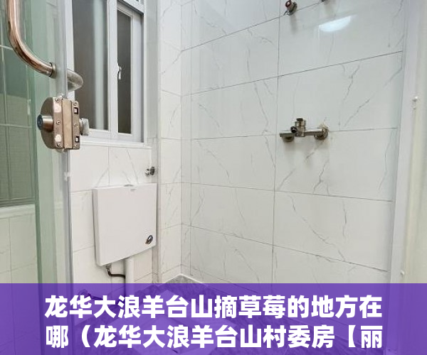 龙华大浪羊台山摘草莓的地方在哪（龙华大浪羊台山村委房【丽景豪庭】东站400米 ）小产权房怎么过户，