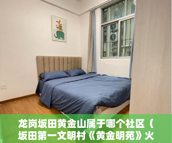 龙岗坂田黄金山属于哪个社区（坂田第一文明村《黄金明苑》火爆来袭一房一厅498万起 ）东莞企石的小产权房怎么办，