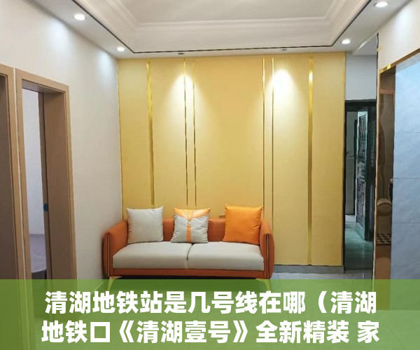 清湖地铁站是几号线在哪（清湖地铁口《清湖壹号》全新精装 家私家电齐全 ）小产权使用年限是多久，
