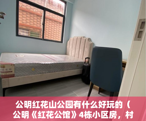 公明红花山公园有什么好玩的（公明《红花公馆》4栋小区房，村委盖章均价12500 ）小产权房多久，