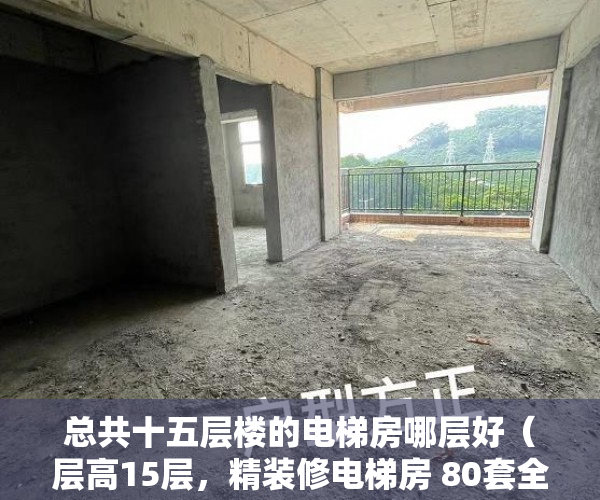 总共十五层楼的电梯房哪层好（层高15层，精装修电梯房 80套全新房源，非常稀缺 ）小产权房子多久能卖出去，
