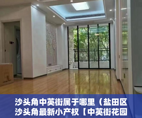 沙头角中英街属于哪里（盐田区沙头角最新小产权【中英街花园】低价格放盘 ）小产权房多久会拆，