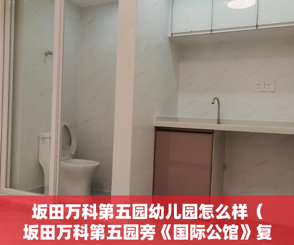 坂田万科第五园幼儿园怎么样（坂田万科第五园旁《国际公馆》复式公寓全套家电 50万一 ）小产权房能居住多久安全吗，