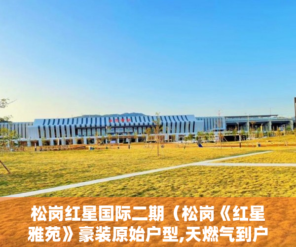 松岗红星国际二期（松岗《红星雅苑》豪装原始户型,天燃气到户首付6万起 ）小产权房的签名可以保存多久，