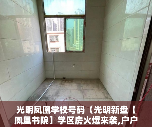 光明凤凰学校号码（光明新盘【凤凰书院】学区房火爆来袭,户户管道燃气~ ）开发商办理小产权需要多久，
