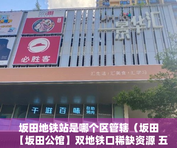 坂田地铁站是哪个区管辖（坂田【坂田公馆】双地铁口稀缺资源 五号线杨美地铁站600 ）驿小产权房怎么样，