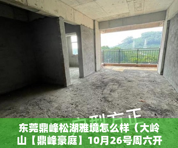 东莞鼎峰松湖雅境怎么样（大岭山【鼎峰豪庭】10月26号周六开盘文化广场5分钟 ）小产权房子顶楼漏水怎么办，