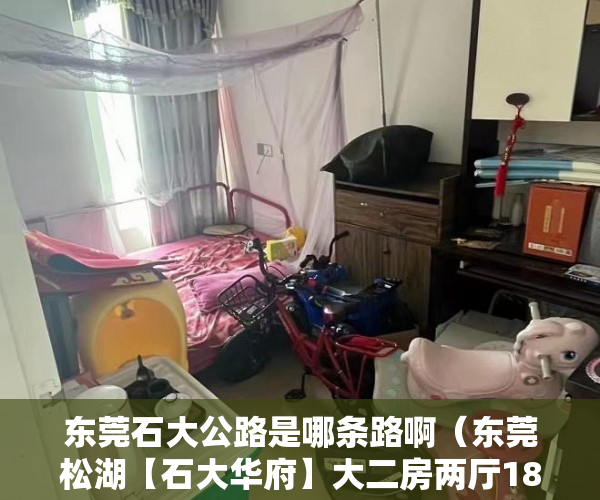 东莞石大公路是哪条路啊（东莞松湖【石大华府】大二房两厅188 万 ）小产权房真的住水了多久，
