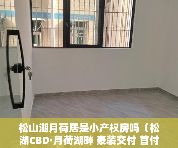 松山湖月荷居是小产权房吗（松湖CBD·月荷湖畔 豪装交付 首付三成 无条件分期十年 ）小产权房怎么办理房产证，