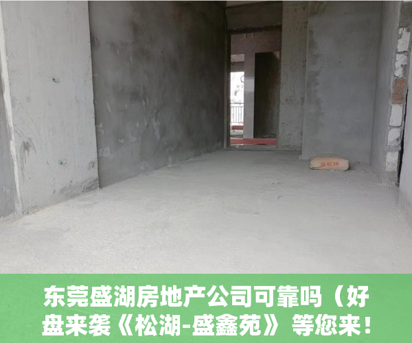 东莞盛湖房地产公司可靠吗（好盘来袭《松湖-盛鑫苑》 等您来！）淮安小产权房建材城怎么样，
