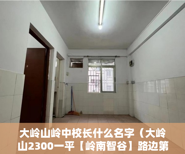 大岭山岭中校长什么名字（大岭山2300一平【岭南智谷】路边第一排）商住楼改造小产权房怎么办，