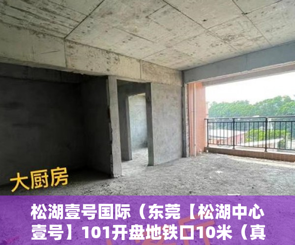 松湖壹号国际（东莞【松湖中心壹号】101开盘地铁口10米（真实） ）20多万的小产权房能住多久，