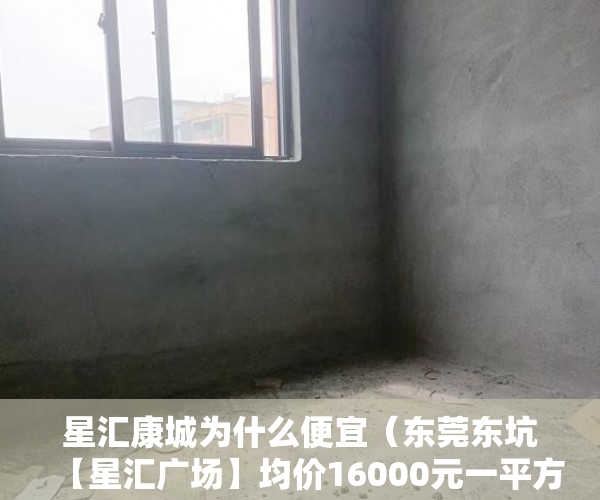 星汇康城为什么便宜（东莞东坑【星汇广场】均价16000元一平方 ）小产权转正后多久可以上户口，