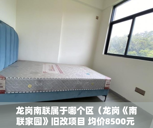 龙岗南联属于哪个区（龙岗《南联家园》旧改项目 均价8500元 精装采光好 可分 ）九月华城小产权是多久，