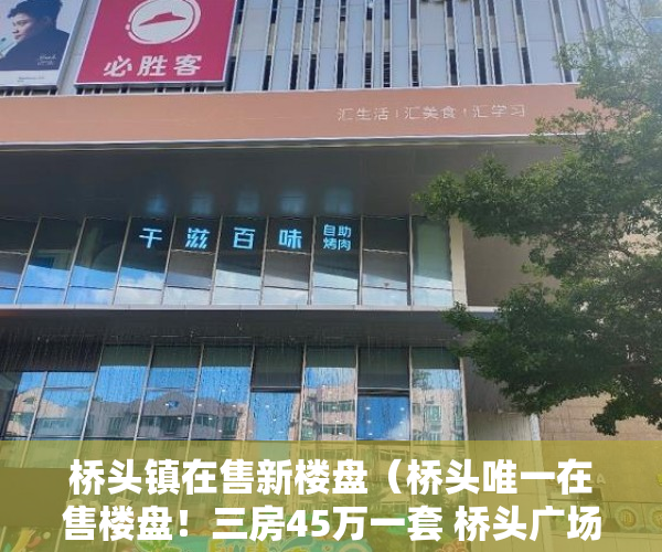 桥头镇在售新楼盘（桥头唯一在售楼盘！三房45万一套 桥头广场 ）小产权房无能力偿还债务怎么办，