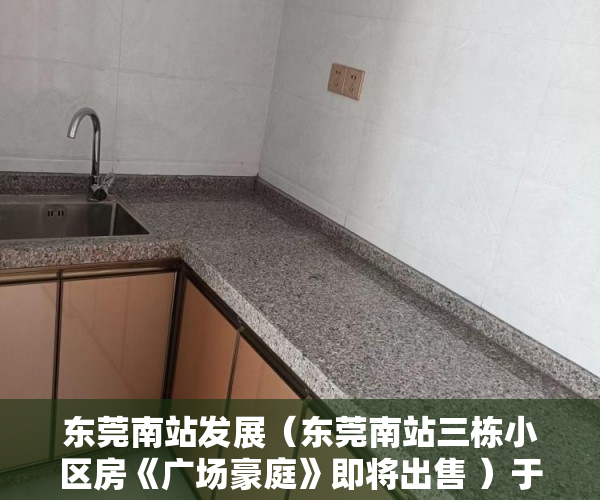 东莞南站发展（东莞南站三栋小区房《广场豪庭》即将出售 ）于辛庄小产权怎么处理，