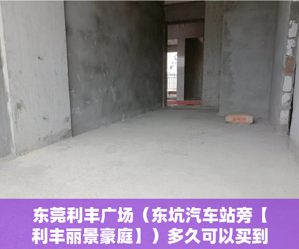 东莞利丰广场（东坑汽车站旁【利丰丽景豪庭】）多久可以买到小产权房，