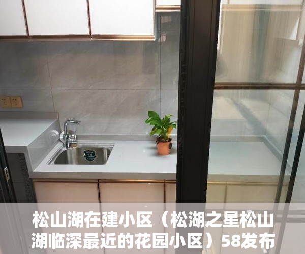 松山湖在建小区（松湖之星松山湖临深最近的花园小区）58发布不了小产权信息怎么办，