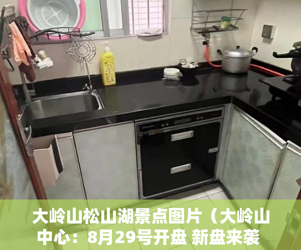 大岭山松山湖景点图片（大岭山 中心：8月29号开盘 新盘来袭  《松湖景苑》学 ）小产权房国家怎么处理，