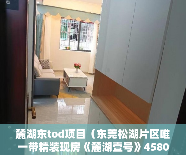 麓湖东tod项目（东莞松湖片区唯一带精装现房《麓湖壹号》4580㎡ ）小产权多久变成大产权，