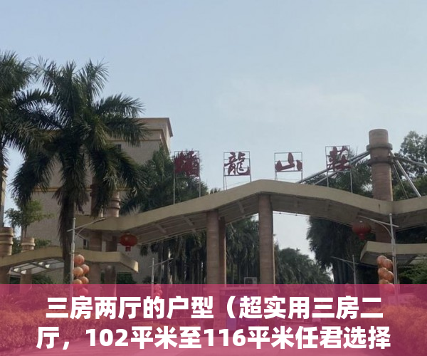 三房两厅的户型（超实用三房二厅，102平米至116平米任君选择！两梯六户 ）村里有小产权怎么办，