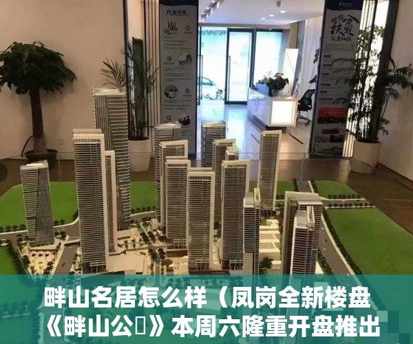 畔山名居怎么样（凤岗全新楼盘《畔山公館》本周六隆重开盘推出稀缺山 ）大产权证分割小产权证要多久，