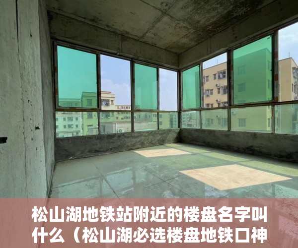 松山湖地铁站附近的楼盘名字叫什么（松山湖必选楼盘地铁口神盘101启航狂欢30套4580元㎡秒 ）小产权会持续多久，