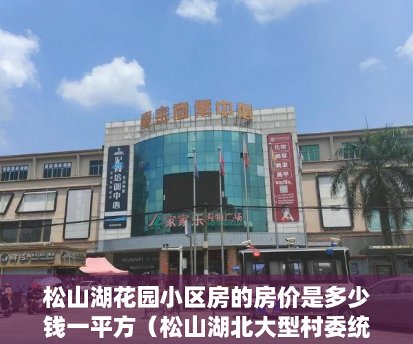 松山湖花园小区房的房价是多少钱一平方（松山湖北大型村委统建楼八栋580套【东方明珠】 ）买小产权房怎么样，