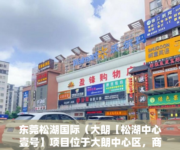 东莞松湖国际（大朗【松湖中心壹号】项目位于大朗中心区，商业街100米 ）小产权房两人怎么相互制约，